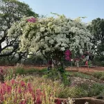 unnamed - 2025-05-10T173653.839