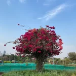 unnamed - 2025-05-10T173658.003